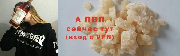 крисы Кулебаки
