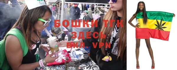 крисы Кулебаки
