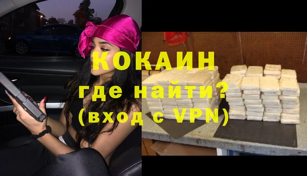 крисы Кулебаки